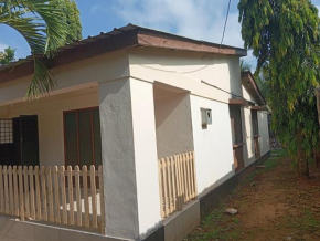 Ngoziskin properties limited